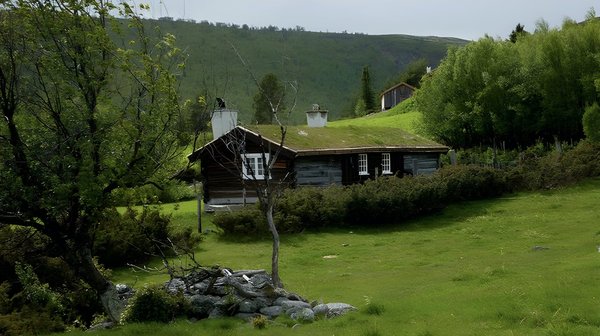 Gastronomie et terroir : locations proches de vignobles réputés
