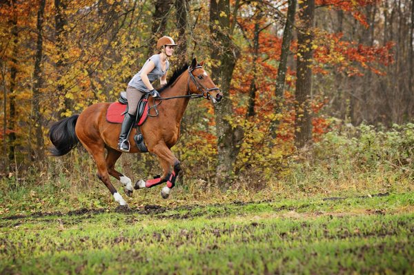 Lyon : Peut-on passer un galop en colonie de vacances équitation ?